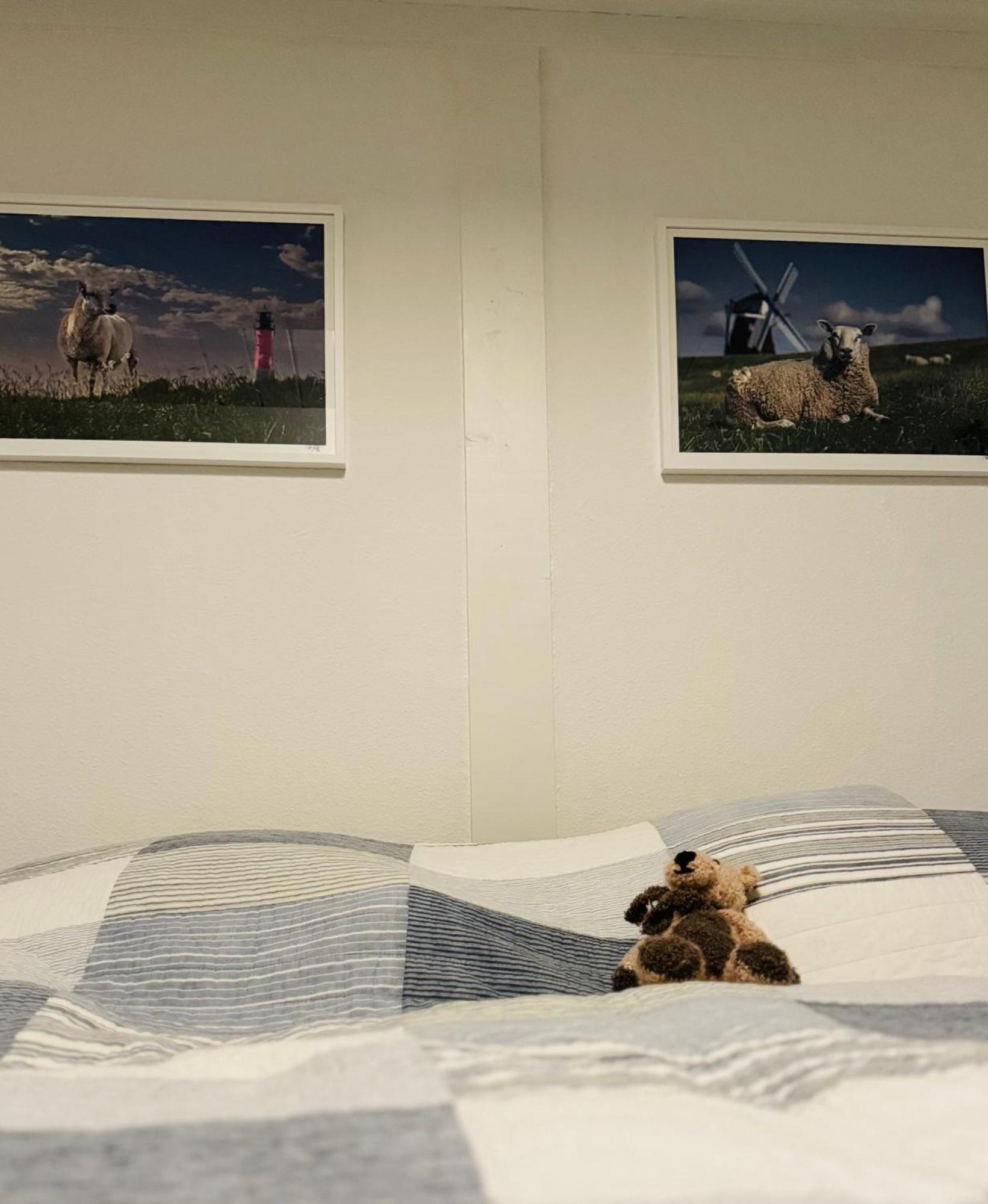 Apartament Kleine Ella Pellworm Zewnętrze zdjęcie